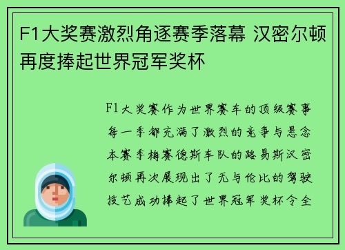 F1大奖赛激烈角逐赛季落幕 汉密尔顿再度捧起世界冠军奖杯 F1大奖赛激烈角逐赛季落幕 汉密尔顿再度捧起世界冠军奖杯